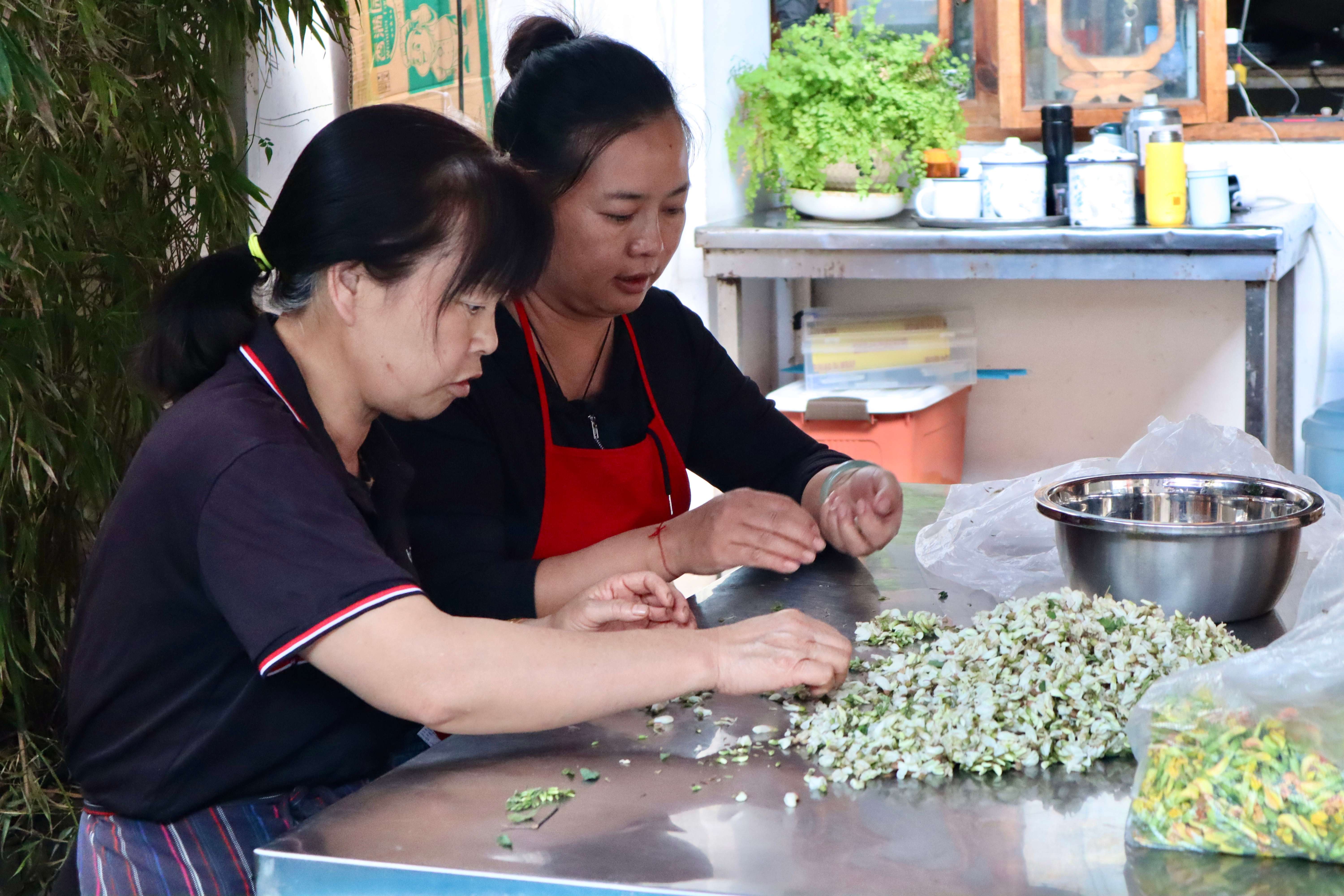 追风逐花 爱在大理 | 抓住春的尾巴，赴一场花之盛宴