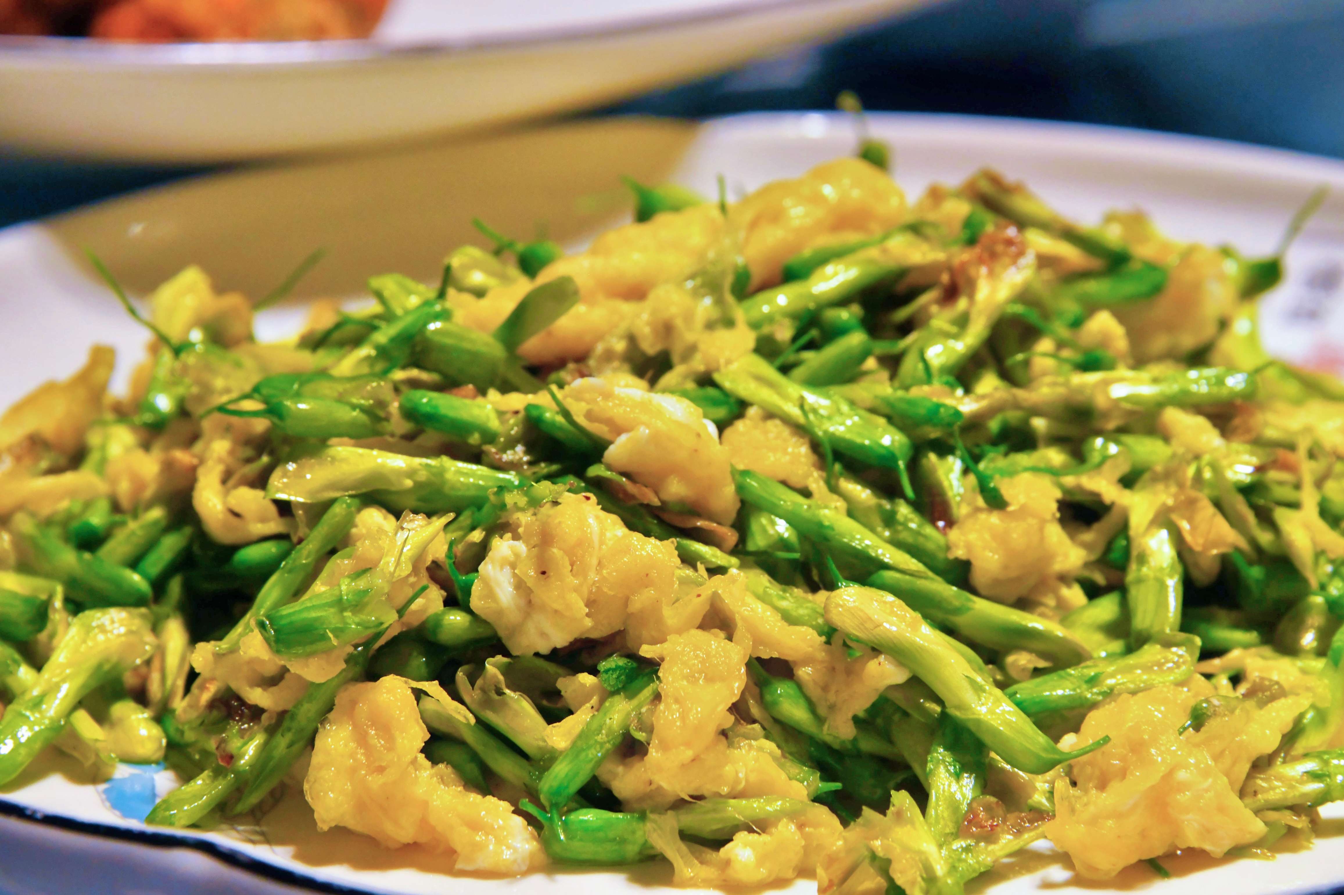 追风逐花 爱在大理 | 抓住春的尾巴，赴一场花之盛宴