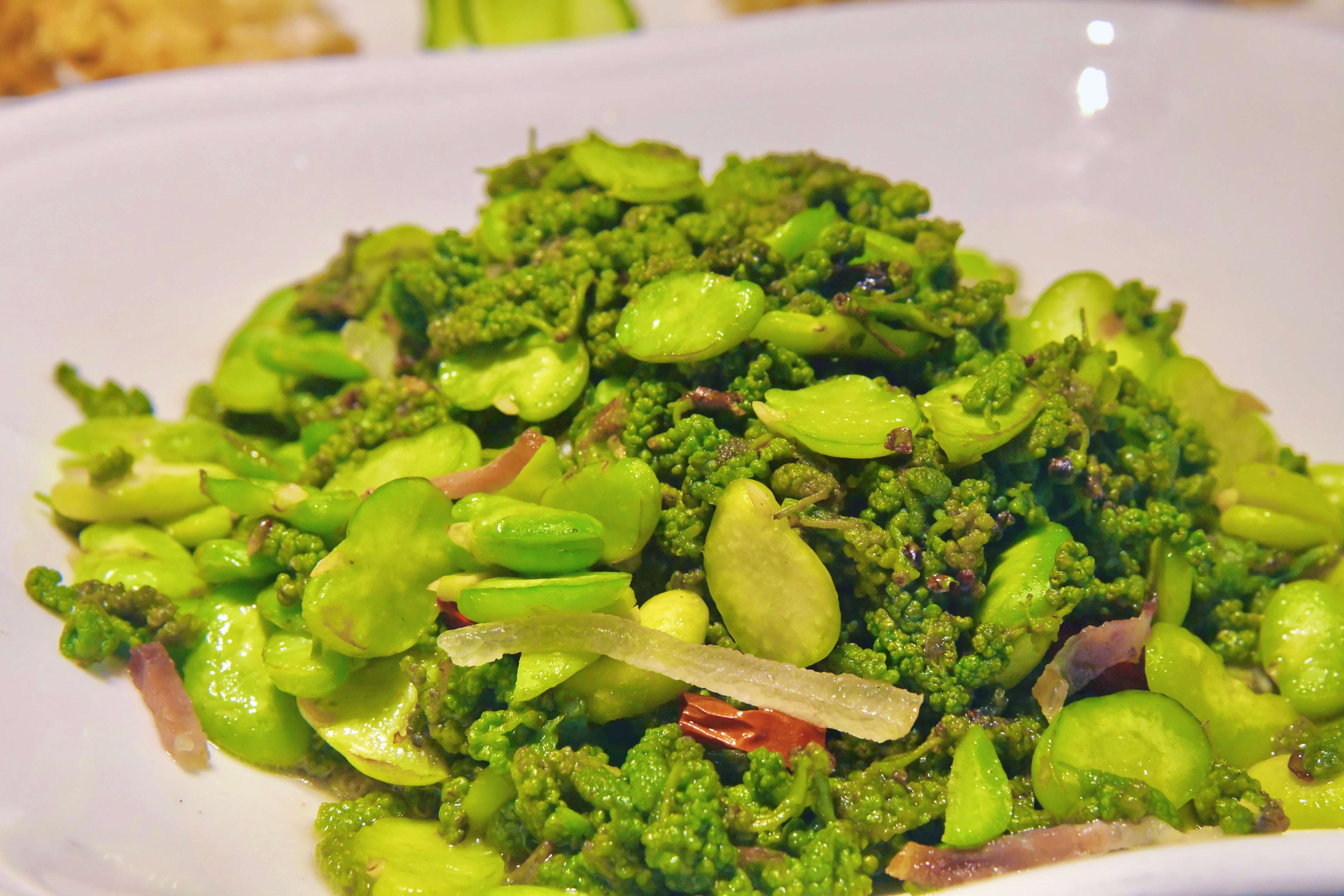 追风逐花 爱在大理 | 抓住春的尾巴，赴一场花之盛宴