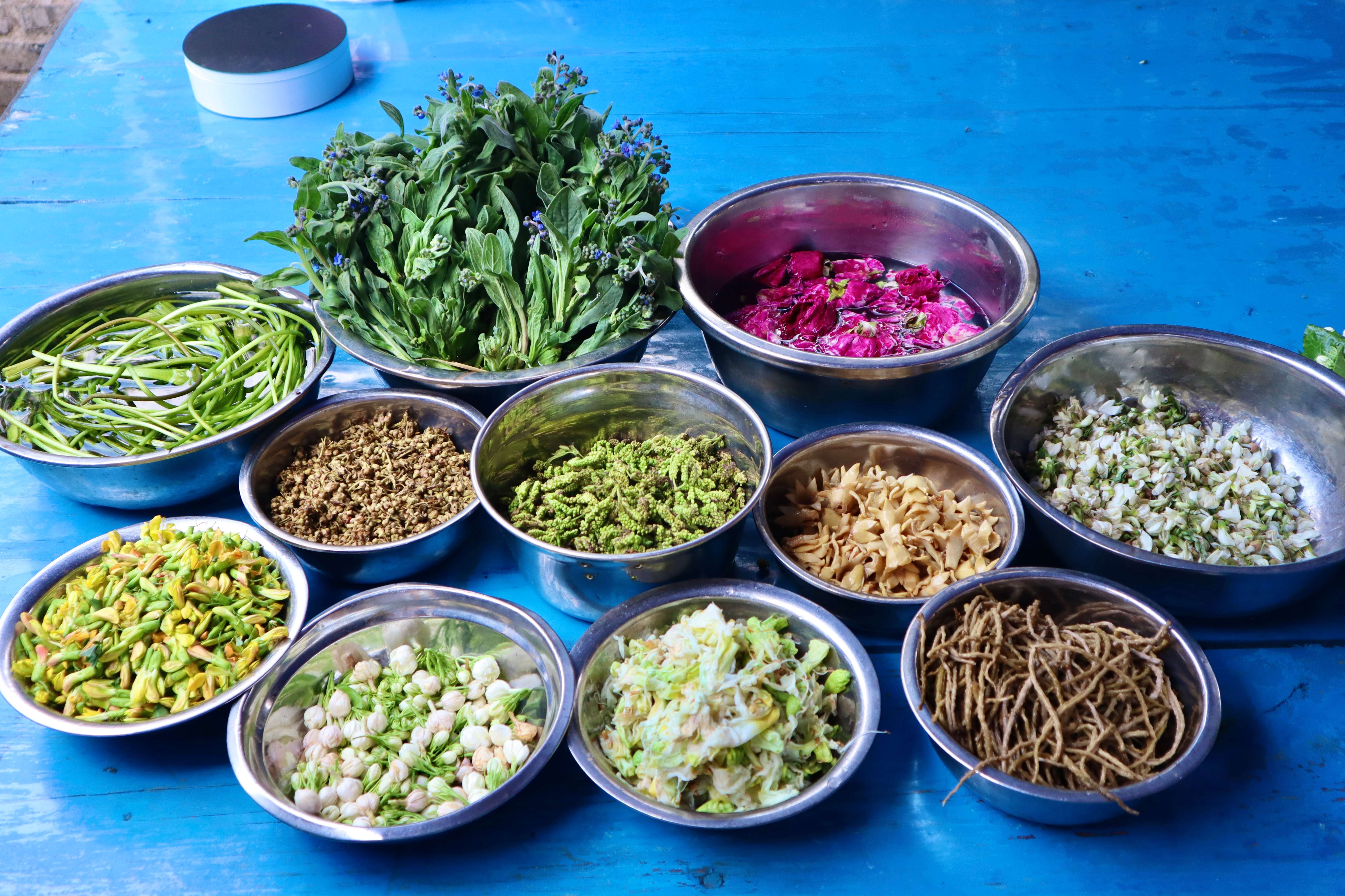 追风逐花 爱在大理 | 抓住春的尾巴，赴一场花之盛宴