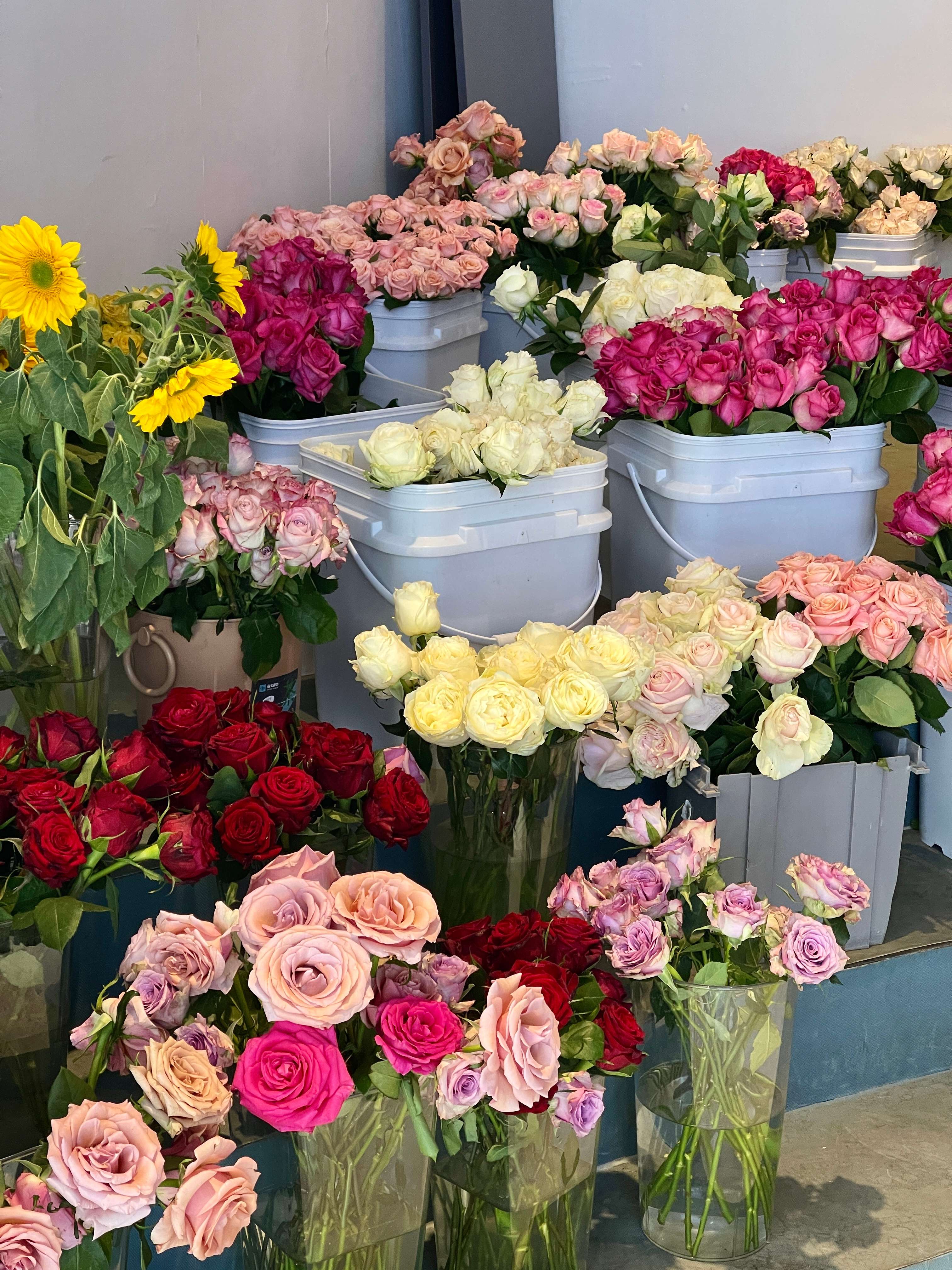 追风逐花 爱在大理 | 繁花似锦 产业绽新姿