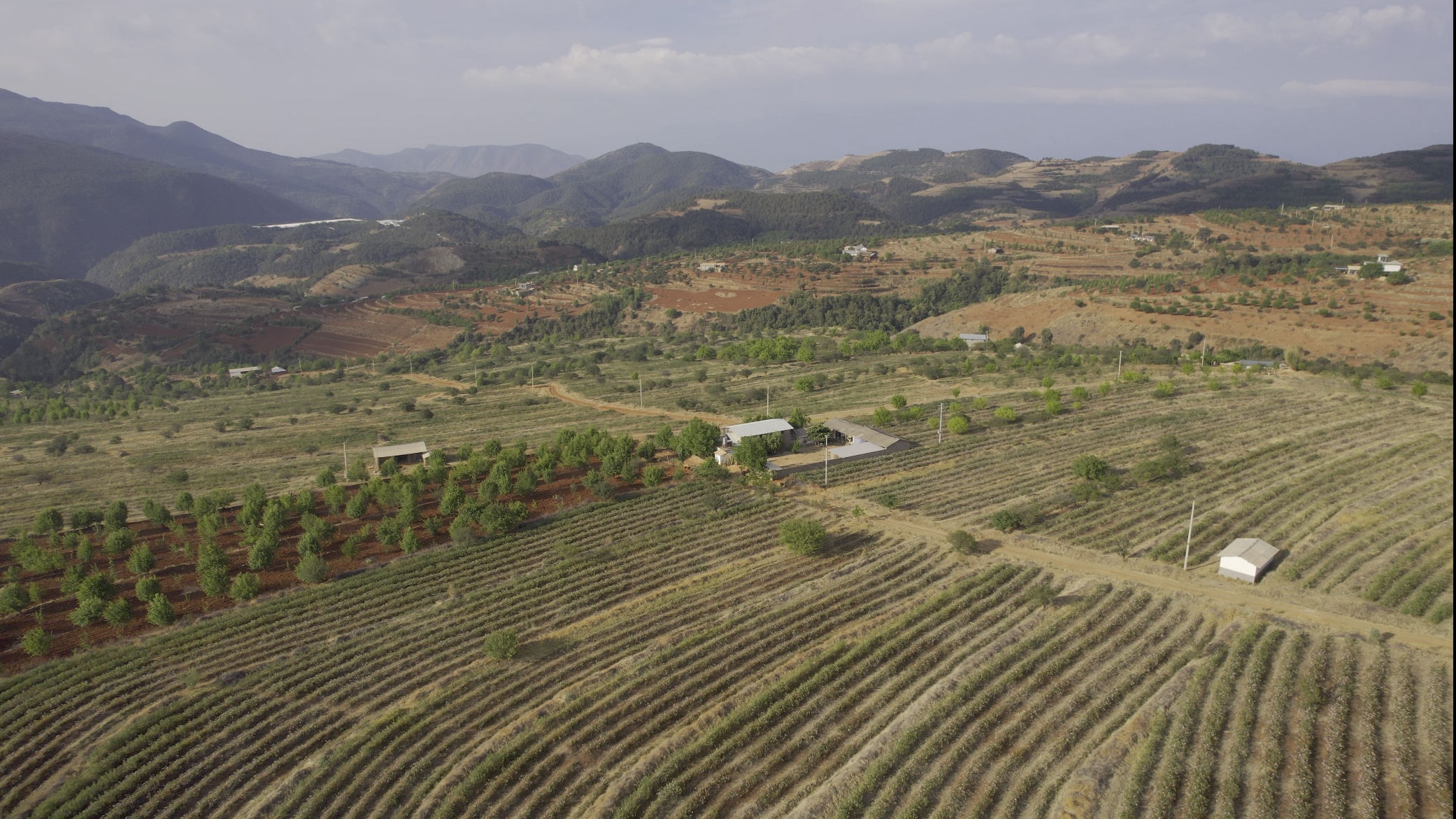追风逐花 爱在大理 | 洱海东岸，采撷一朵大马士革玫瑰的芬芳