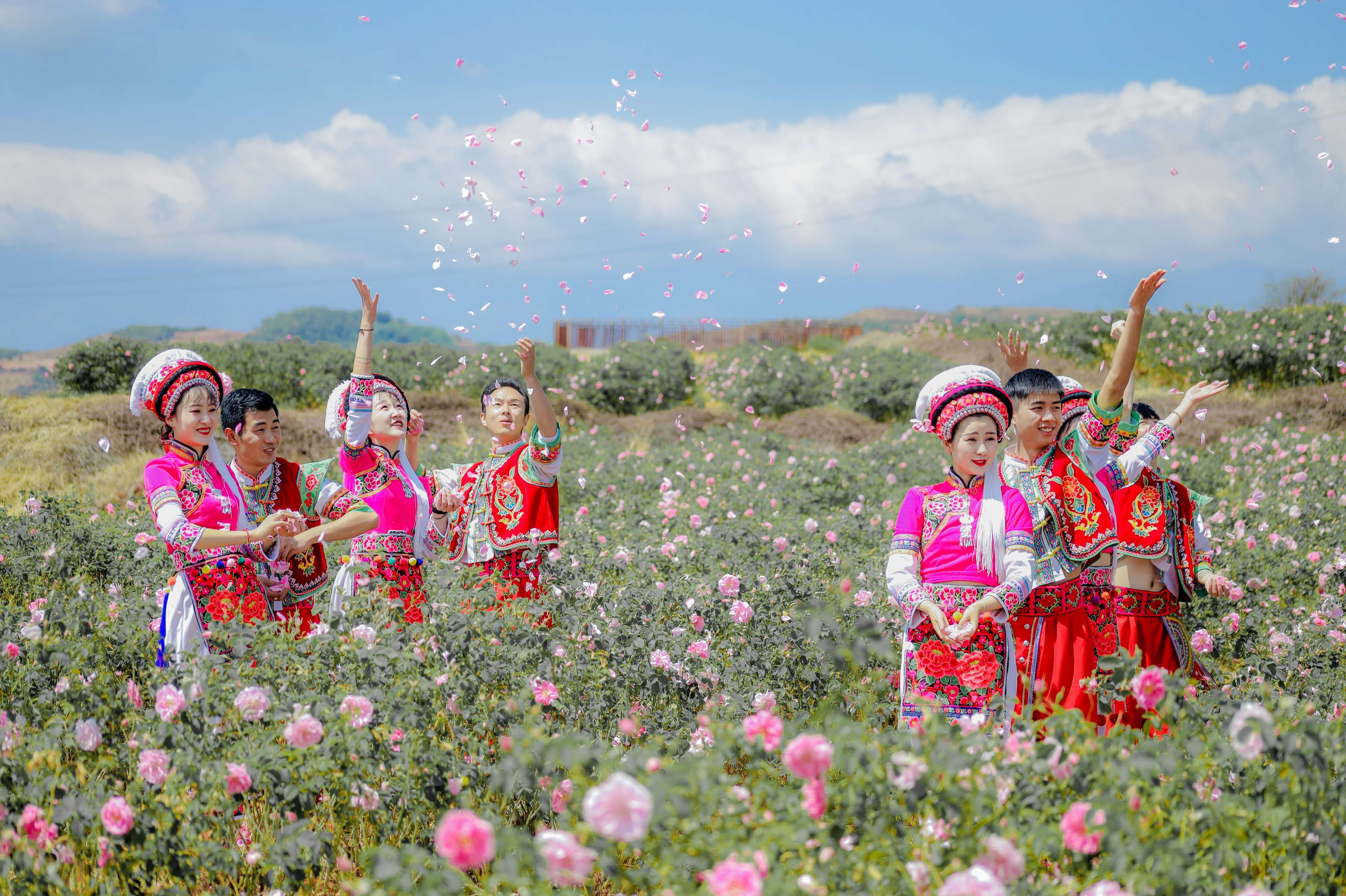 追风逐花 爱在大理 | 洱海东岸，采撷一朵大马士革玫瑰的芬芳