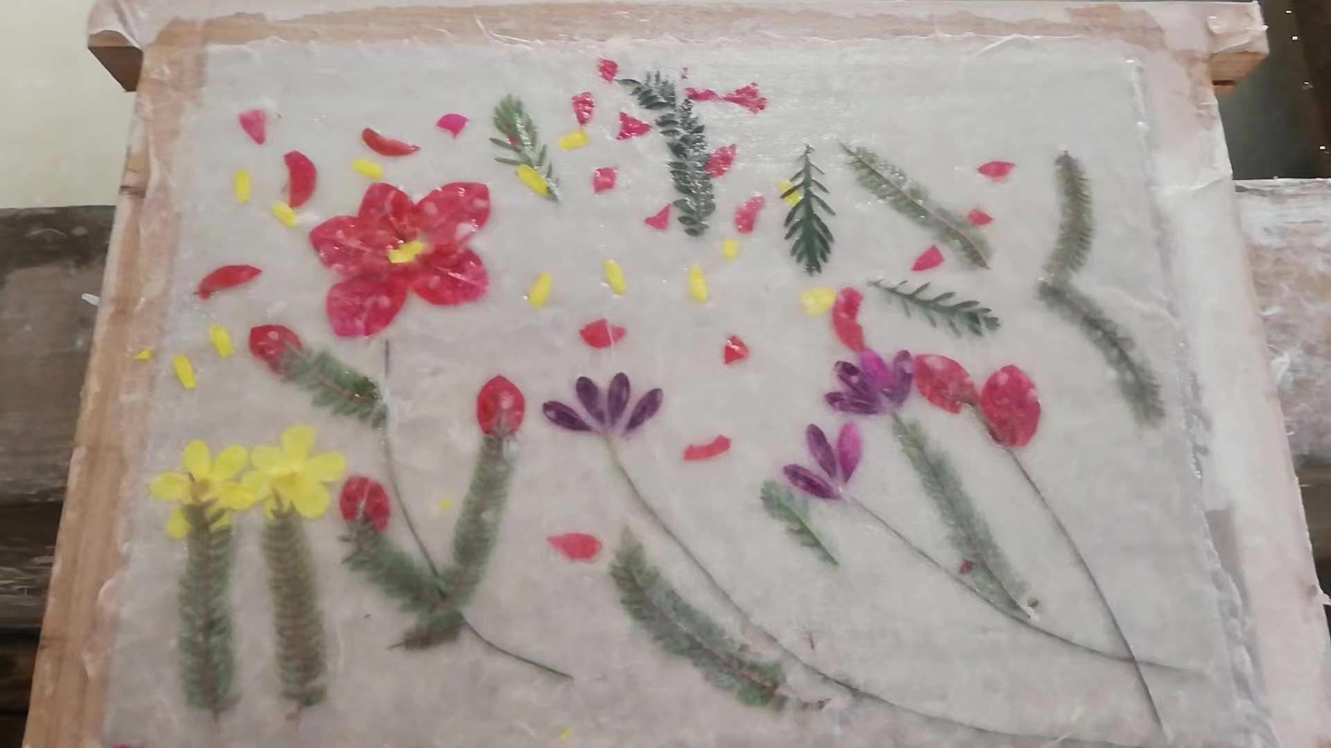 追风逐花 爱在大理 | 尹旺松和他的草花纸