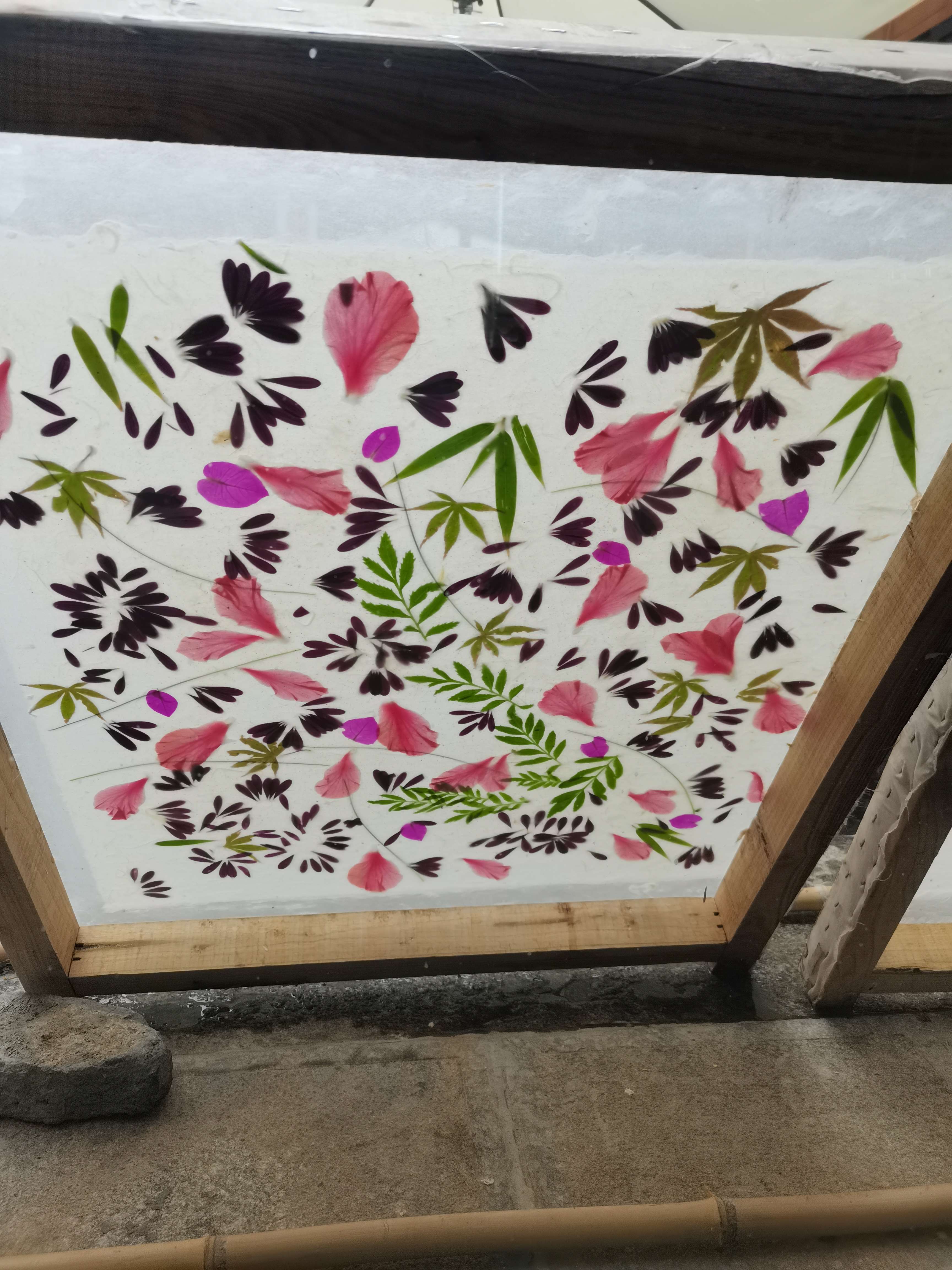 追风逐花 爱在大理 | 尹旺松和他的草花纸