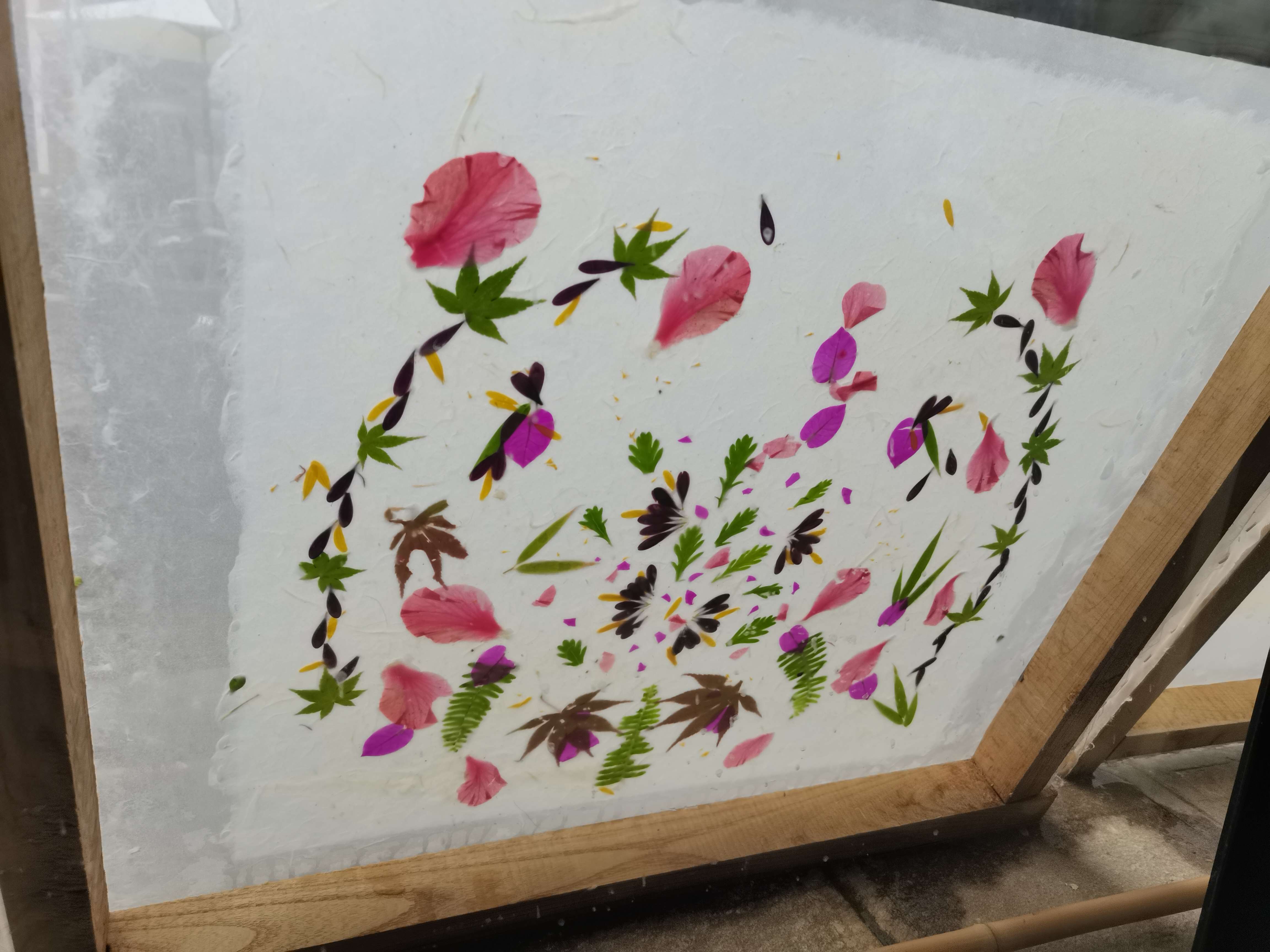 追风逐花 爱在大理 | 尹旺松和他的草花纸