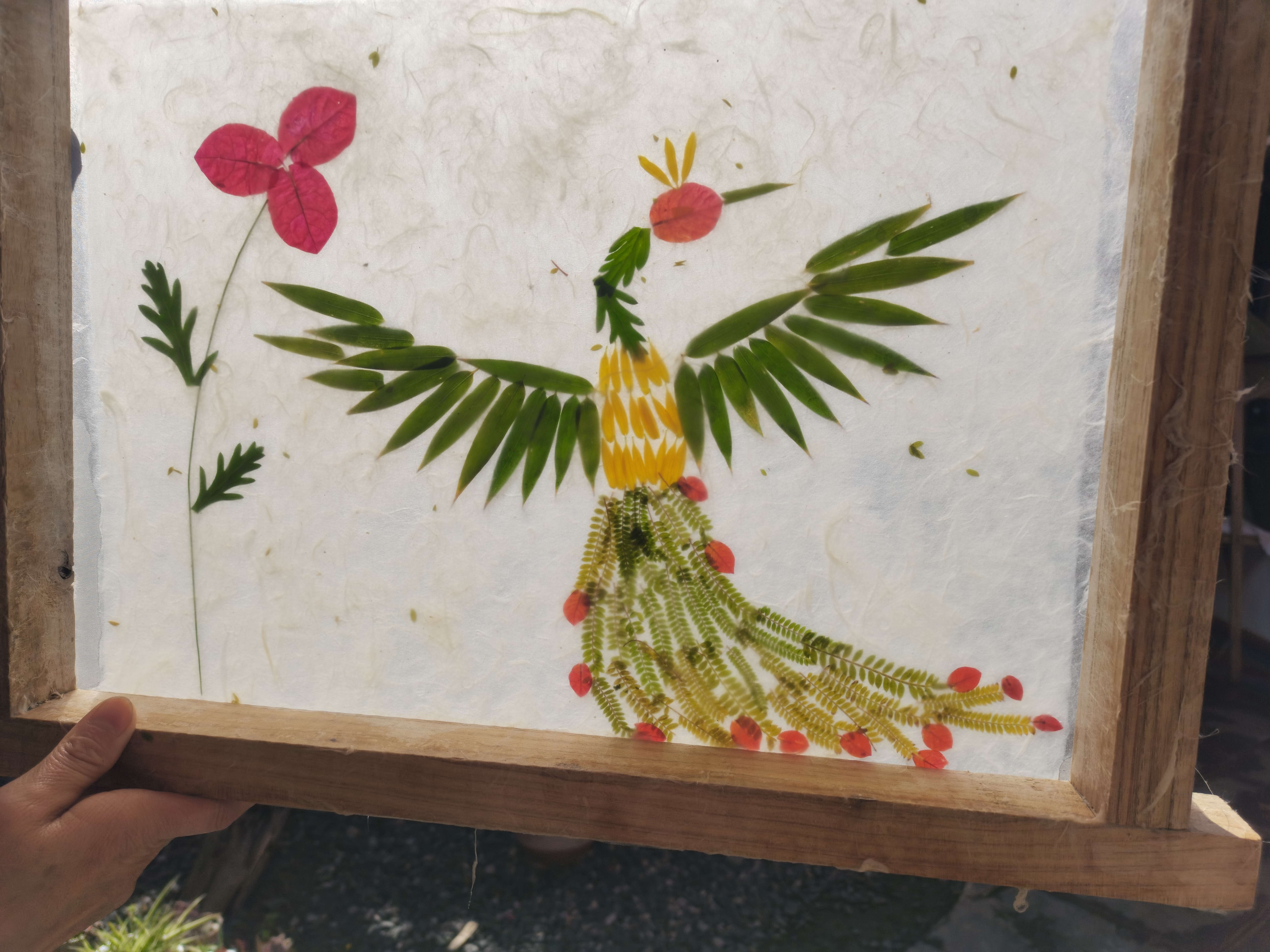 追风逐花 爱在大理 | 尹旺松和他的草花纸