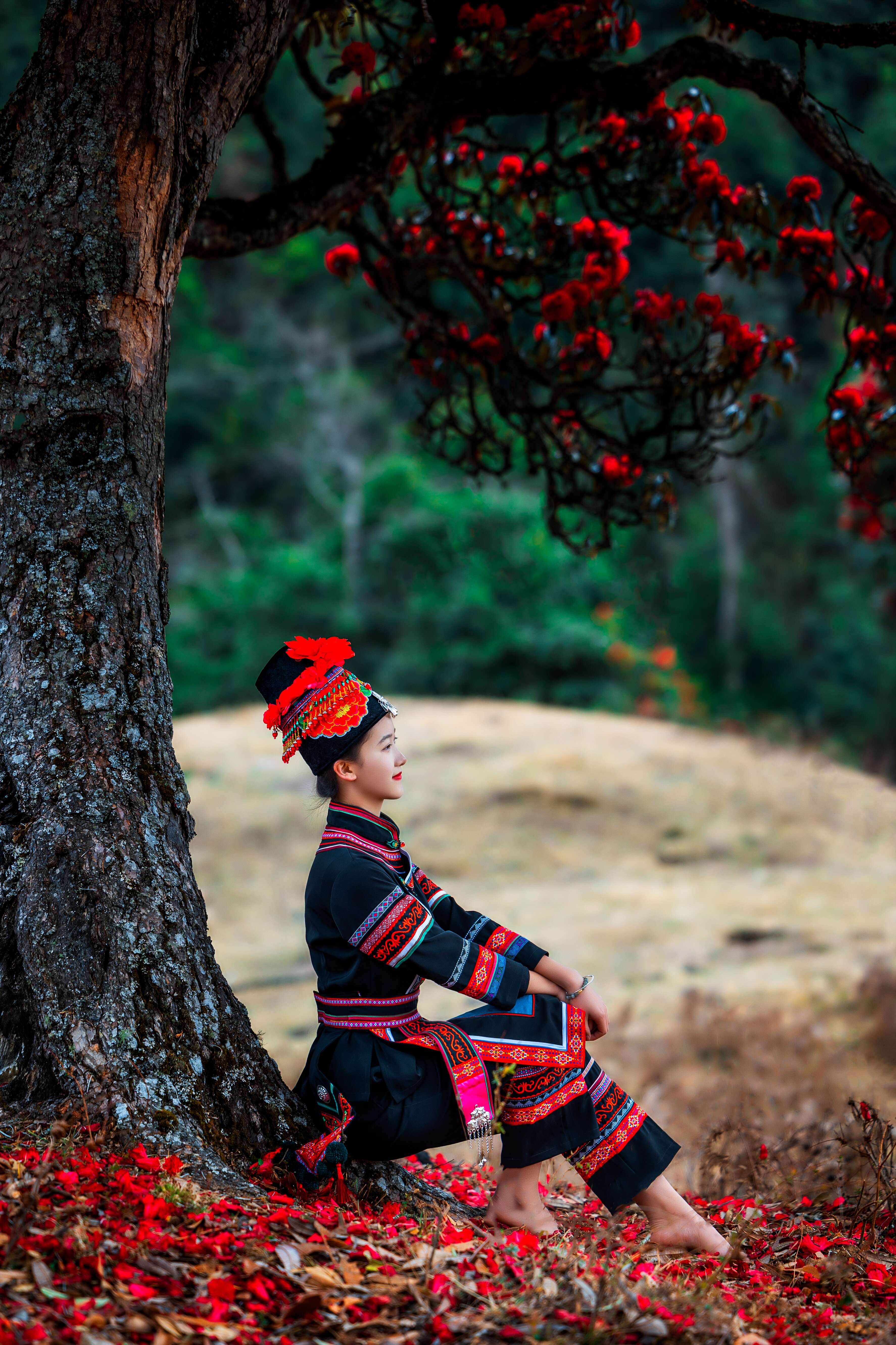 追风逐花 爱在大理 | 走！苍山西坡看大树杜鹃去