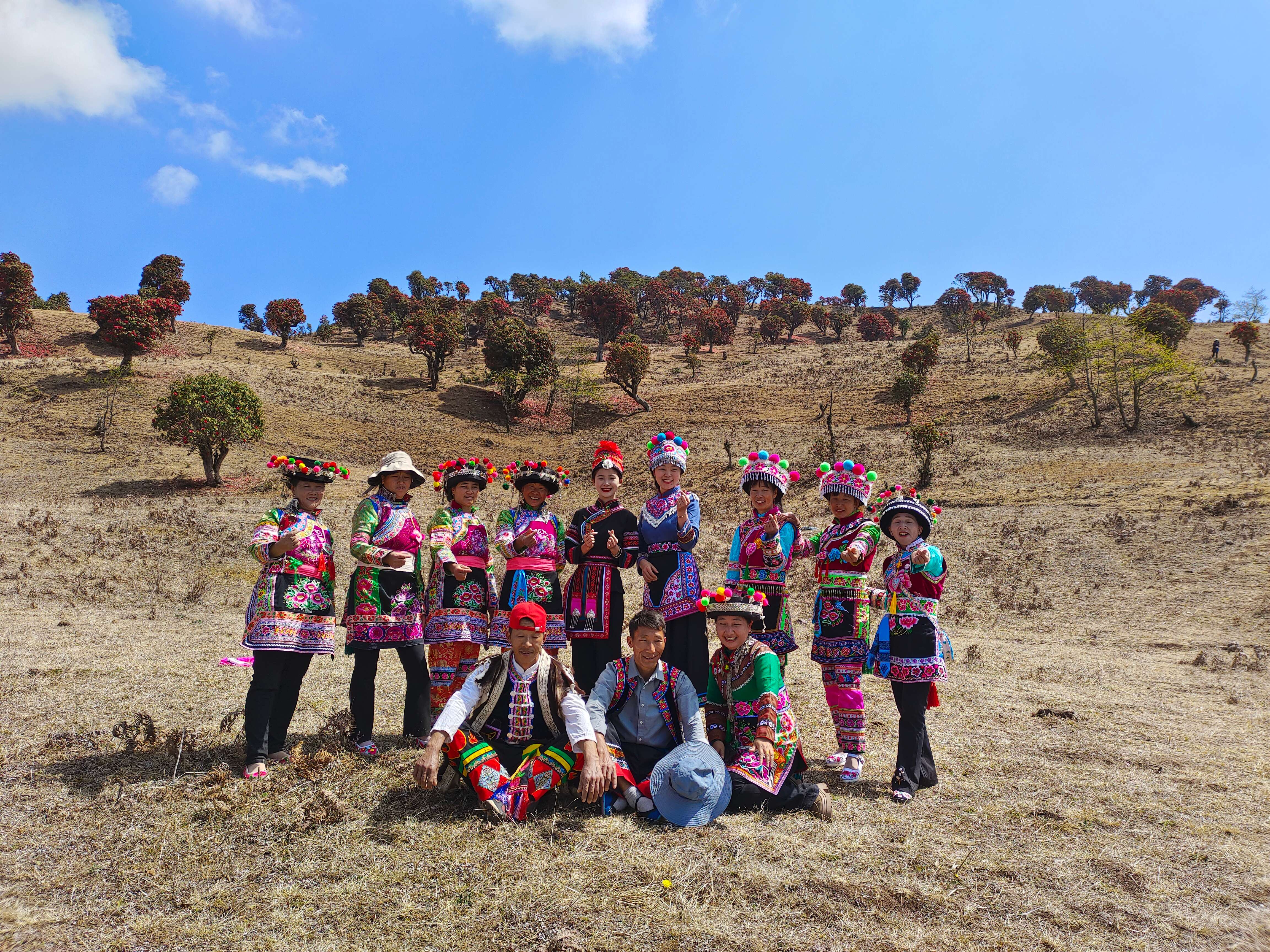 追风逐花 爱在大理 | 走！苍山西坡看大树杜鹃去