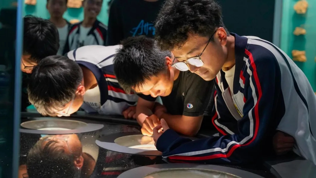 昆一中晋宁学校学子赴抚仙湖开展劳动与古生物遗址研学活动