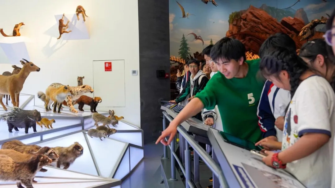 昆一中晋宁学校学子赴抚仙湖开展劳动与古生物遗址研学活动