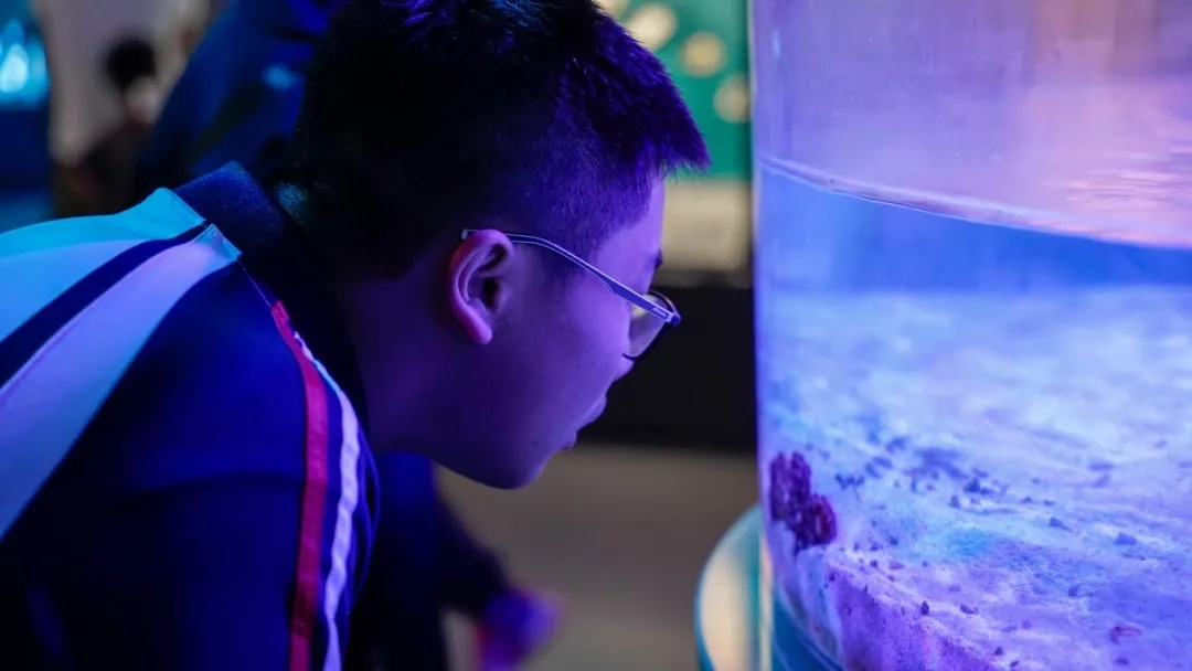 昆一中晋宁学校学子赴抚仙湖开展劳动与古生物遗址研学活动