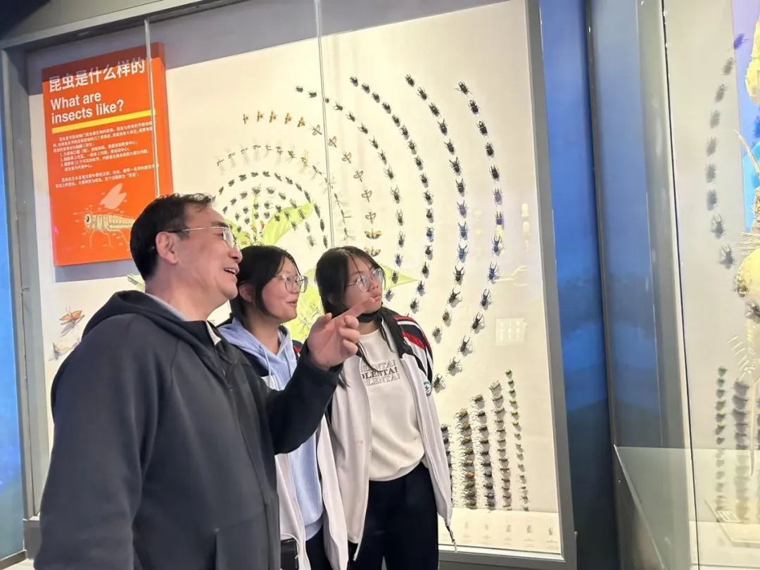 昆一中晋宁学校学子赴抚仙湖开展劳动与古生物遗址研学活动