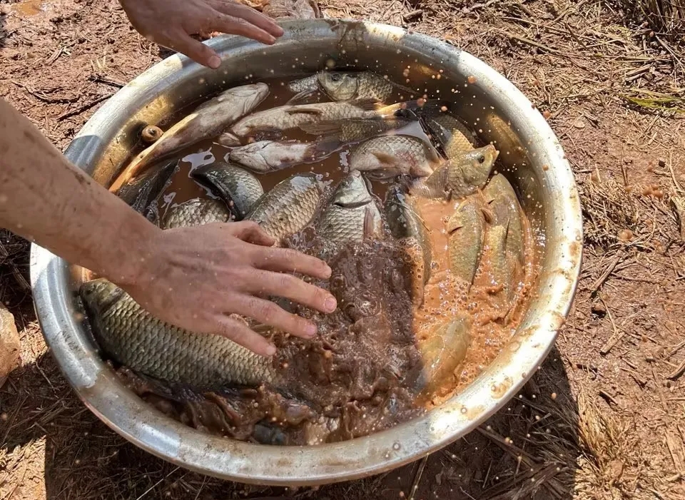 昆一中晋宁学校学子赴抚仙湖开展劳动与古生物遗址研学活动