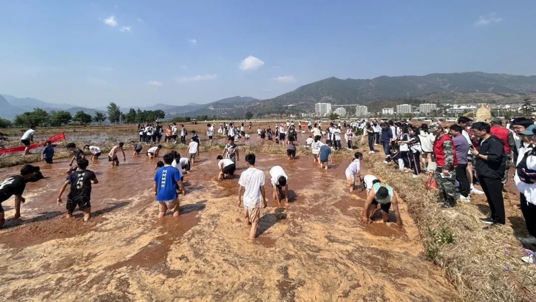 昆一中晋宁学校学子赴抚仙湖开展劳动与古生物遗址研学活动
