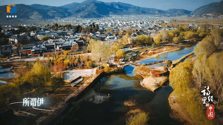 在“有风的地方”品味《诗经·秦风·蒹葭》