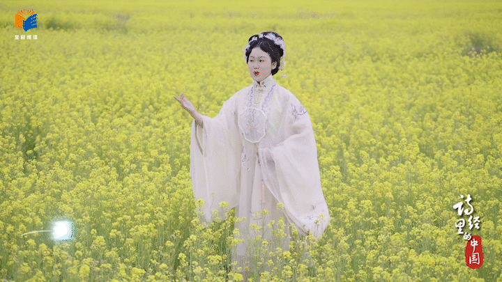 在“有风的地方”品味《诗经·秦风·蒹葭》