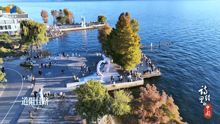 在“有风的地方”品味《诗经·秦风·蒹葭》