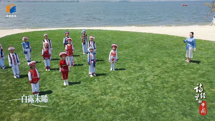 在“有风的地方”品味《诗经·秦风·蒹葭》