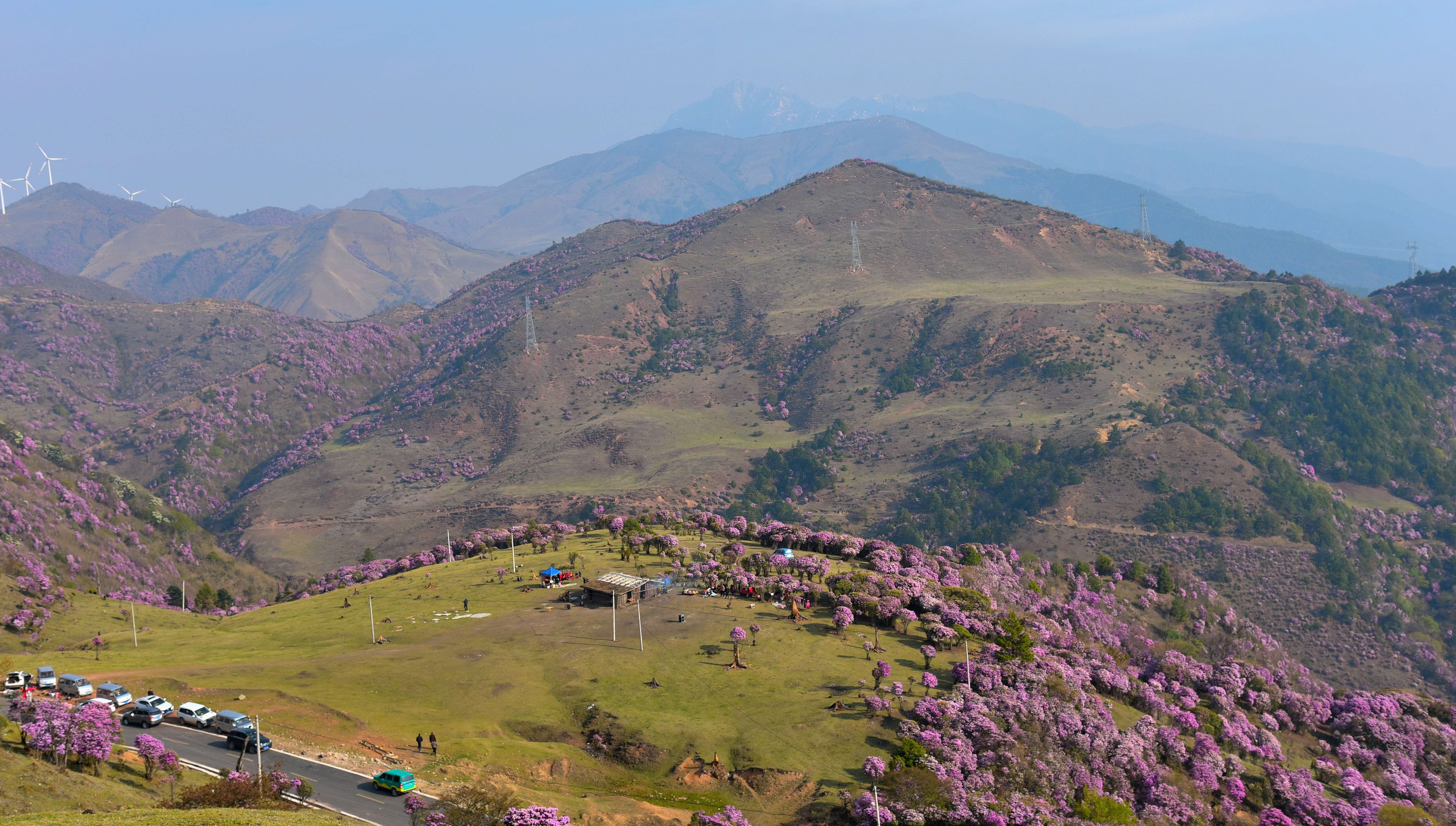 追风逐花 爱在大理 | “通往云端”的剑川马象公路：牛羊、雪山、风车、杜鹃花海的天堂