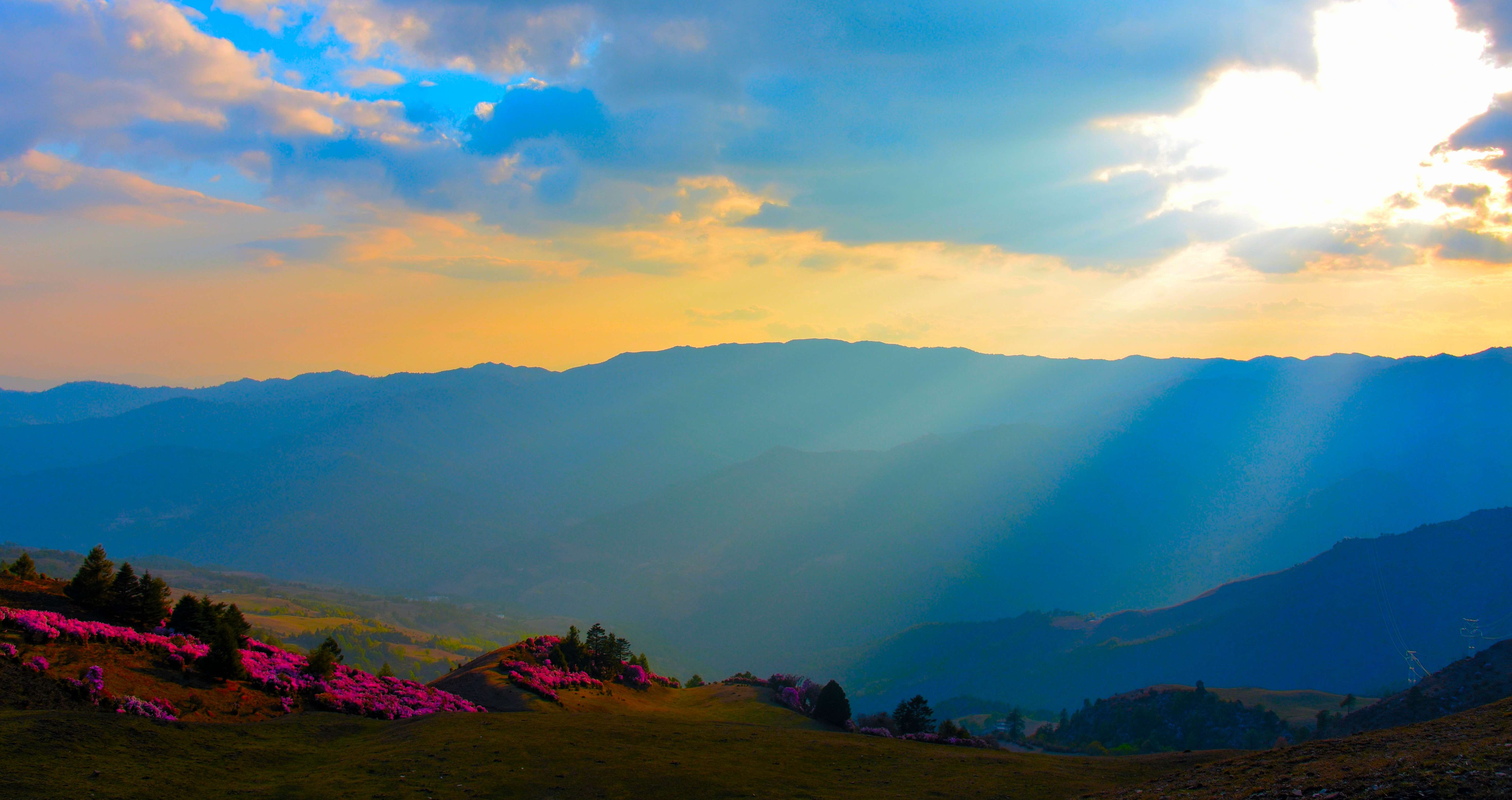 追风逐花 爱在大理 | “通往云端”的剑川马象公路：牛羊、雪山、风车、杜鹃花海的天堂