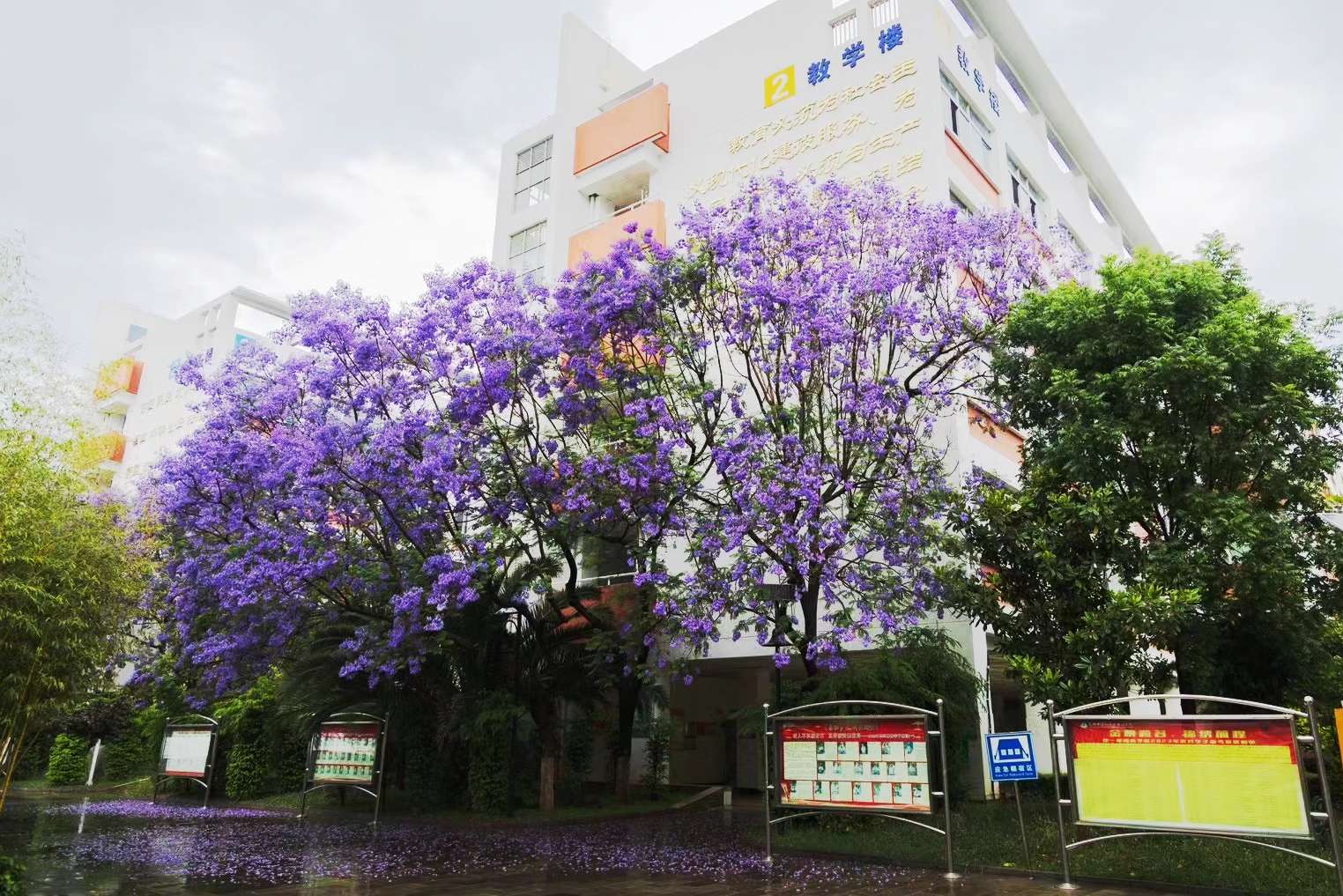 昆一中西山学校美景