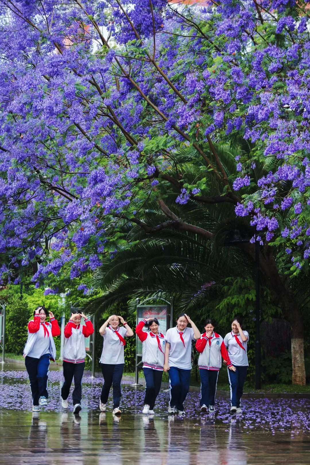 昆一中西山学校美景
