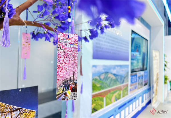 精心打造！“游云南 看吴哥”跨国精品旅游路线亮相文博会5.jpg