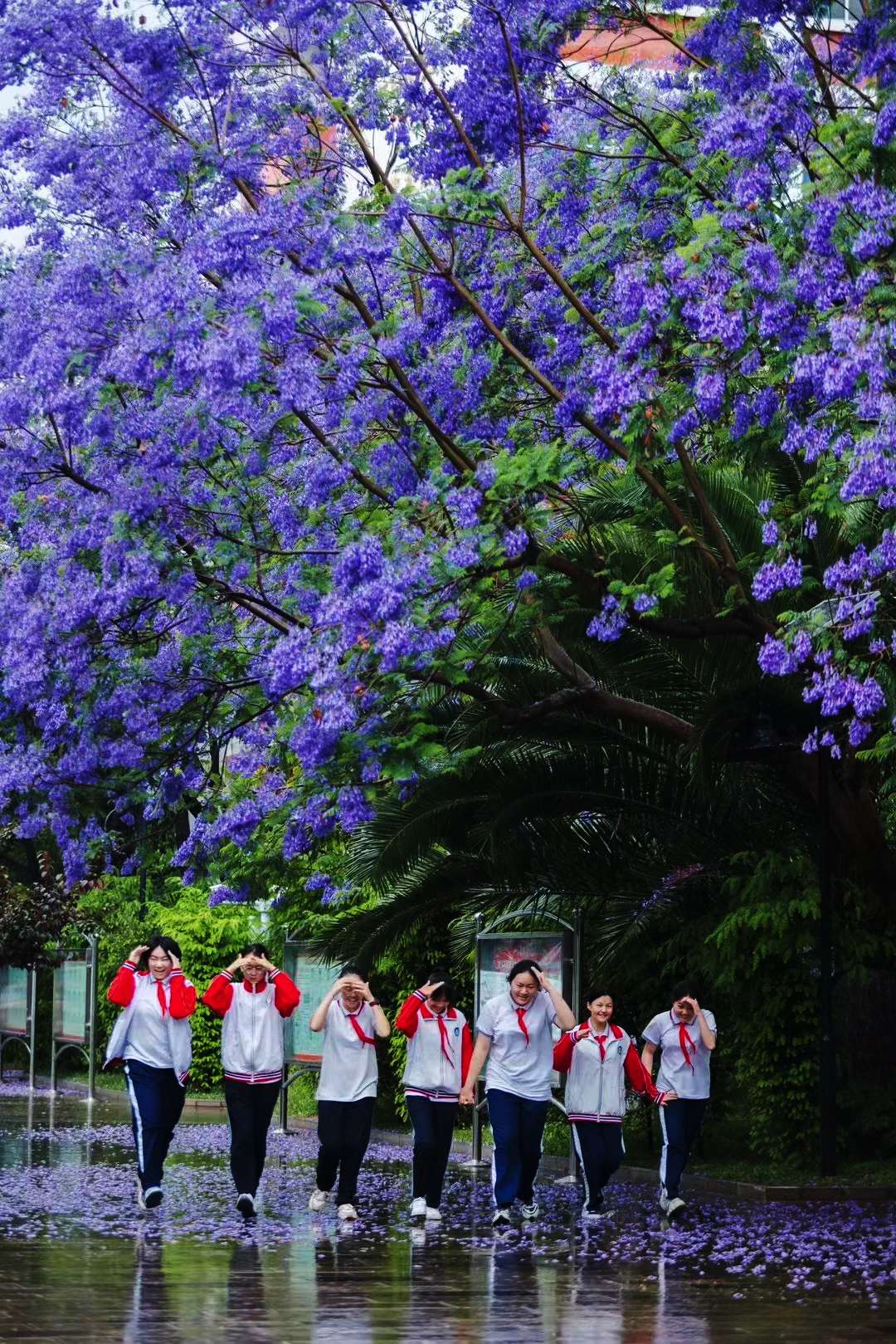 昆一中西山学校美景