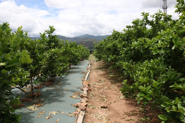 GetAttachment (1).jpg