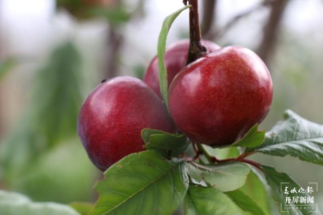 binary_middle (3).jpg