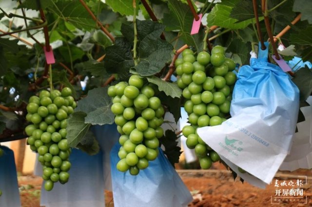 binary_middle (4).jpg