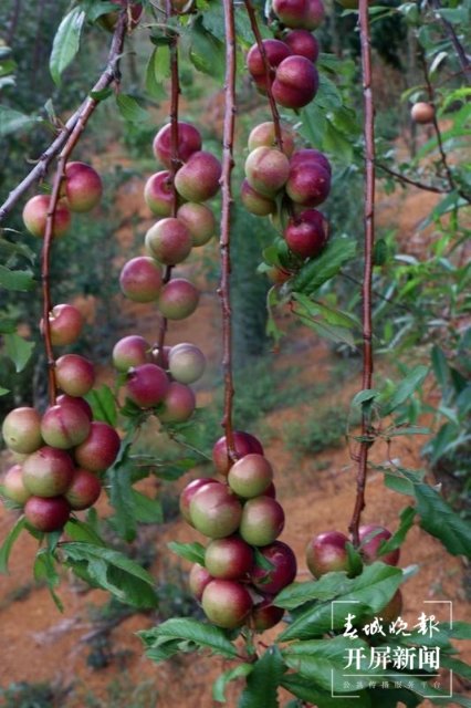 binary_middle (2).jpg