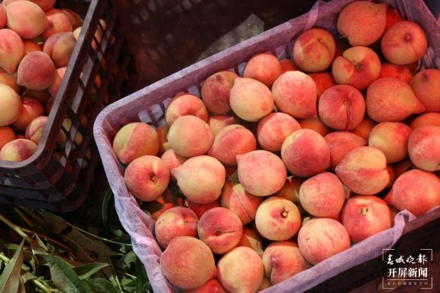 binary_middle (1).jpg