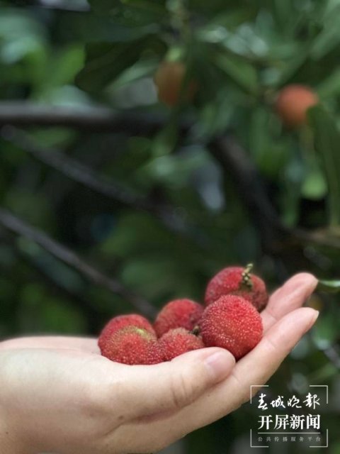 binary_middle (9).jpg