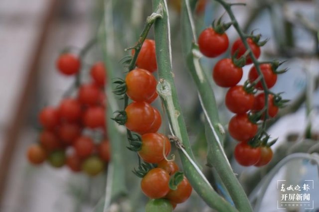 binary_middle (7).jpg