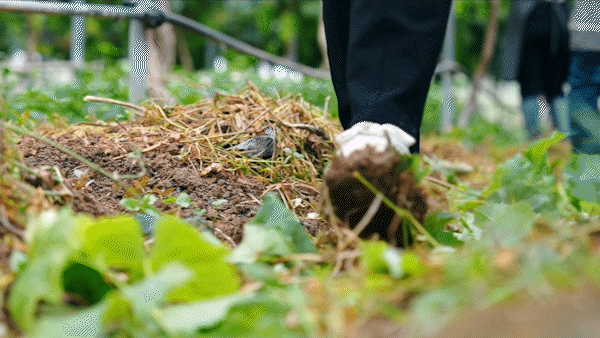 致平凡，敬不凡——这是奋斗在云岭大地上的每一个你
