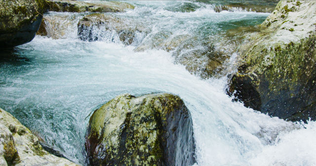 产业兴农看大理 | 漾濞平坡镇：壮大“水产业”做出“水文章”