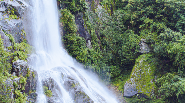 产业兴农看大理 | 漾濞平坡镇：壮大“水产业”做出“水文章”
