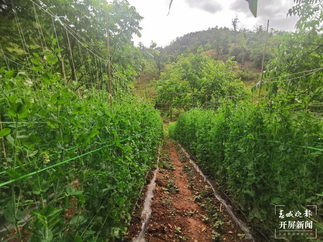 GetAttachment (3).jpg