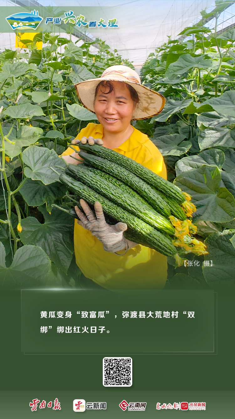 产业兴农看大理 | 特色农业全展示