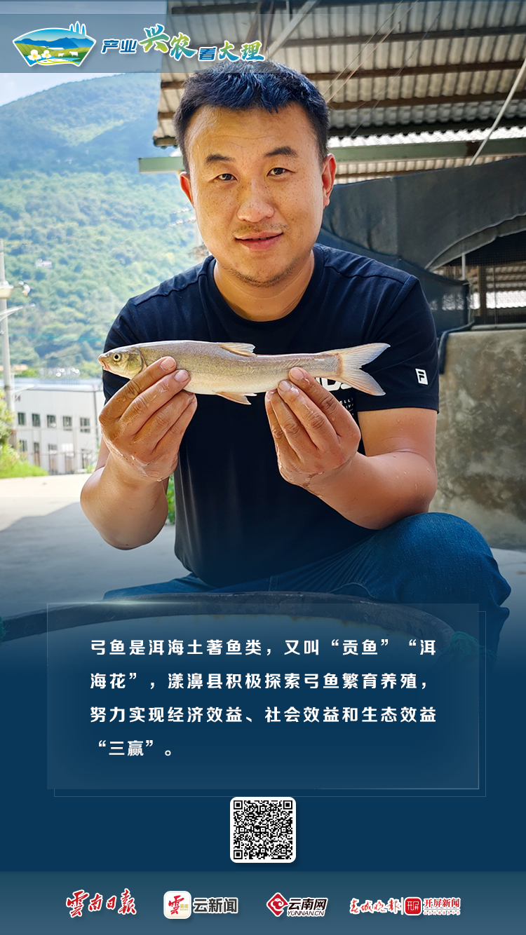 产业兴农看大理 | 特色农业全展示