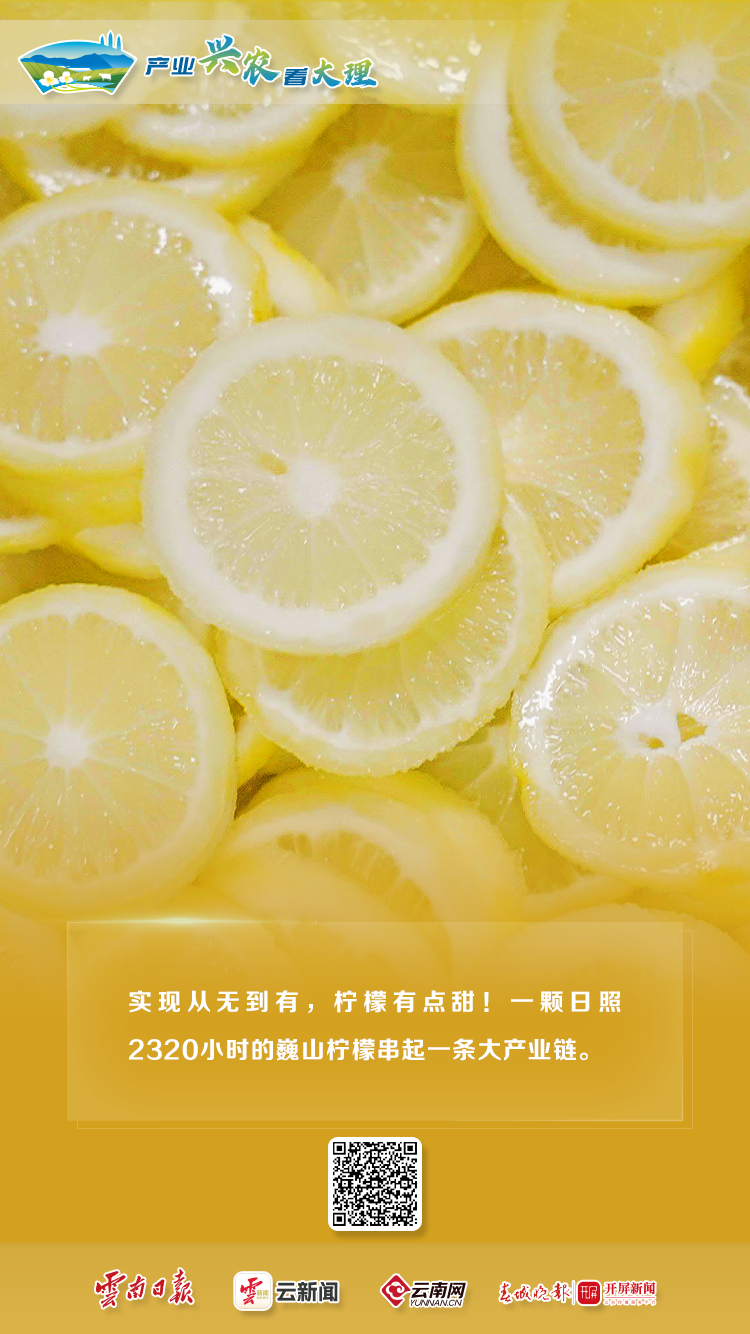 产业兴农看大理 | 特色农业全展示