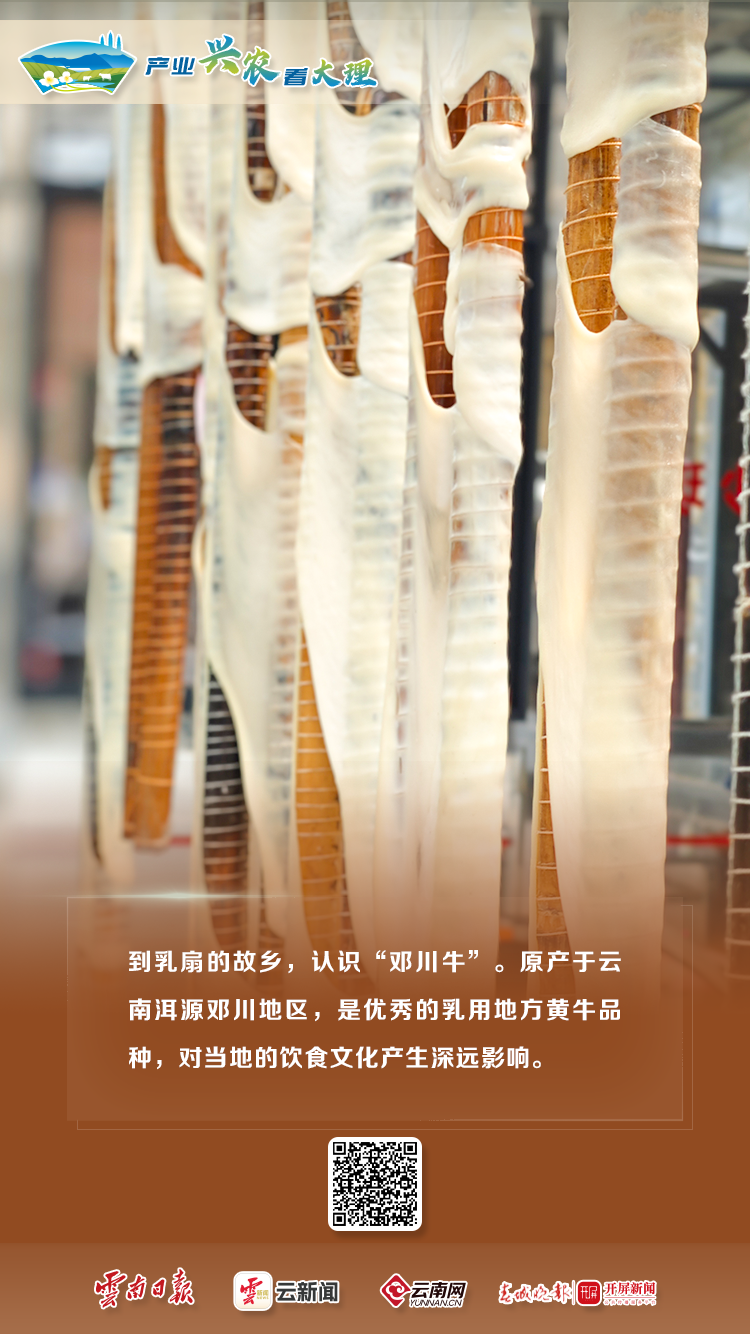产业兴农看大理 | 特色农业全展示