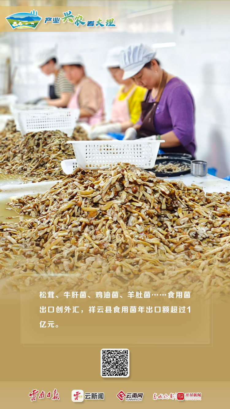 产业兴农看大理 | 特色农业全展示