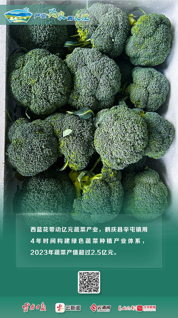 产业兴农看大理 | 特色农业全展示