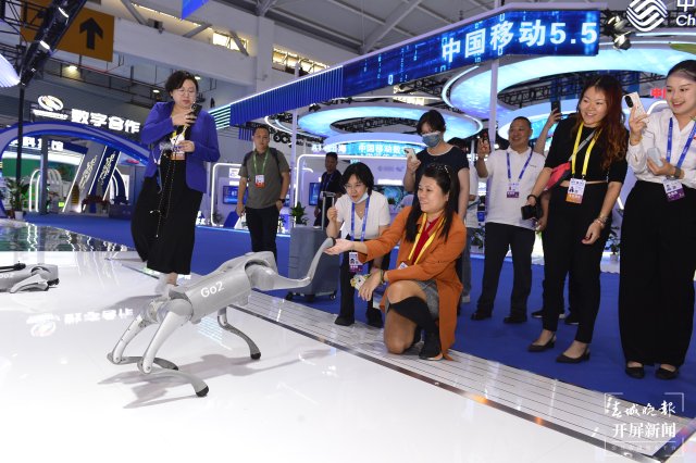 南博会（龙宇丹 摄）