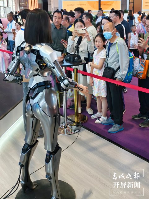 南博会 （江洋 摄）