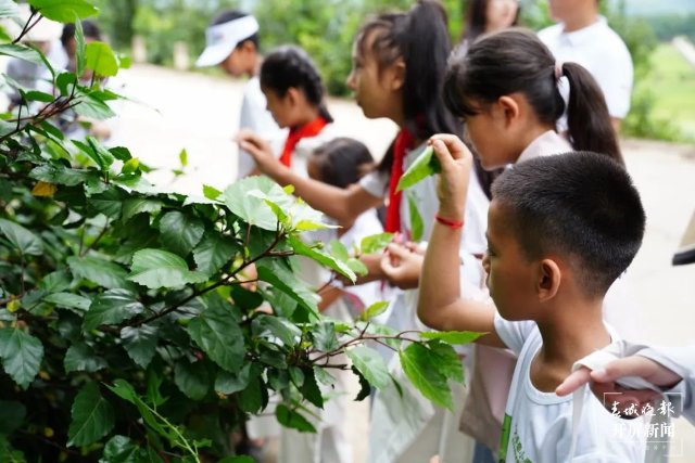  “大手牵小手”生态文明科普夏令营
