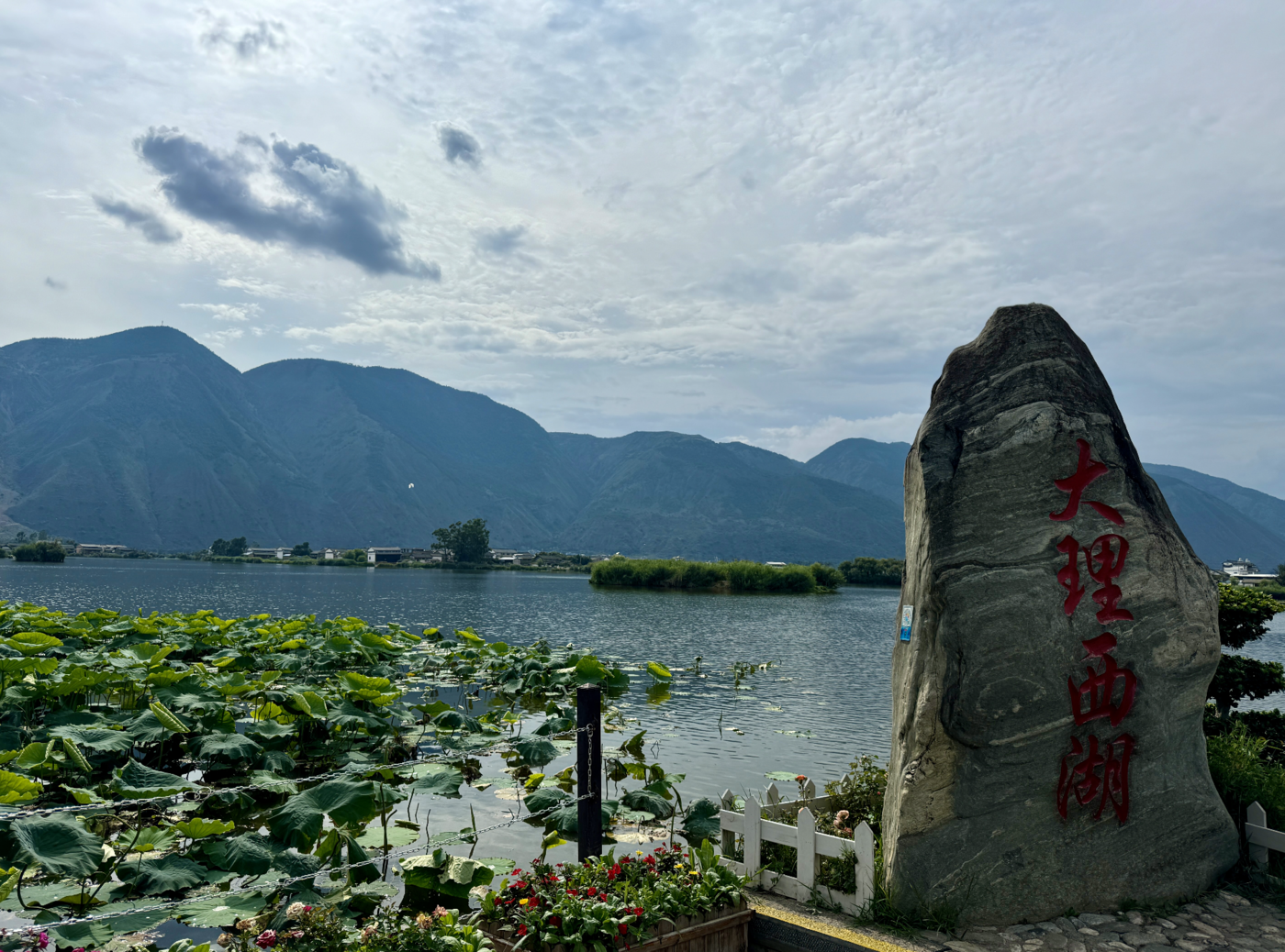 万千气象看洱源｜去有风的洱源，共享有一种叫云南的生活！